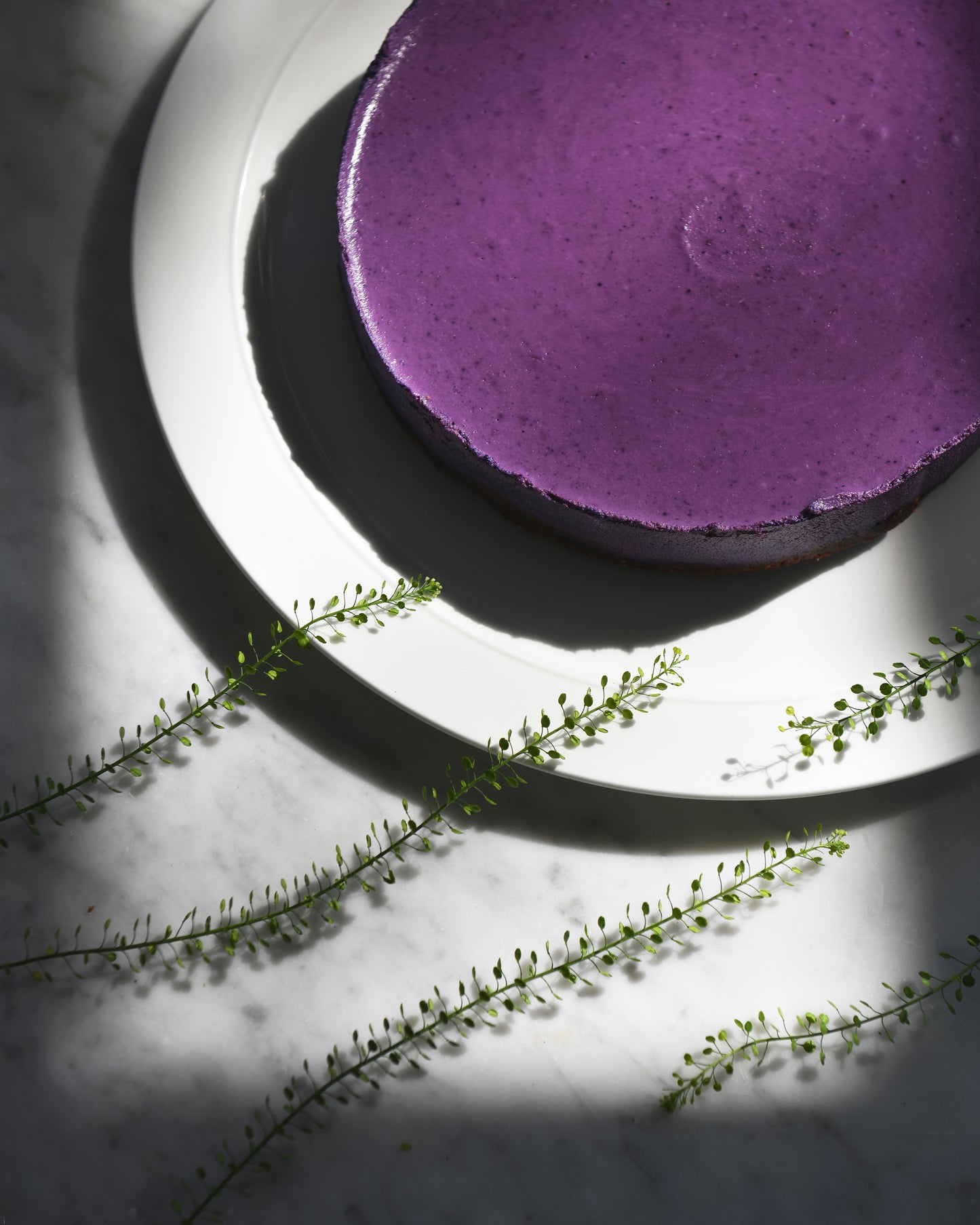 blueberry cake with dark chocolate - vegan, made of natural ingredients